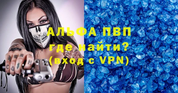 молекула духа Арсеньев