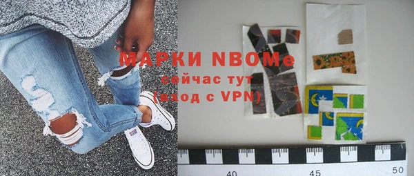 молекула духа Арсеньев
