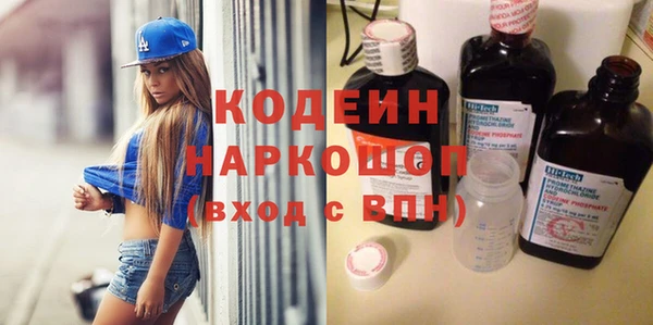 молекула духа Арсеньев