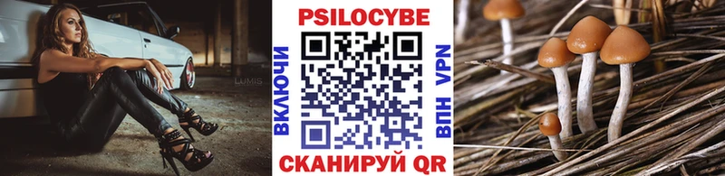 Галлюциногенные грибы GOLDEN TEACHER  наркота  Ахтубинск 